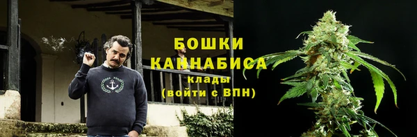 apvp Вяземский