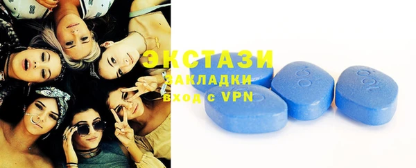 apvp Вяземский