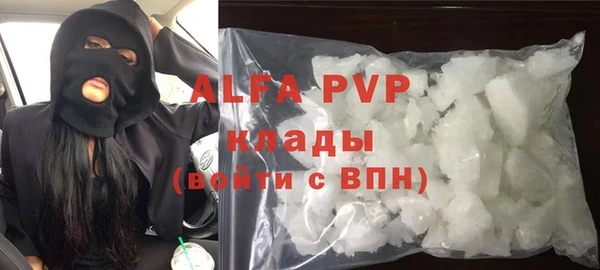 apvp Вяземский