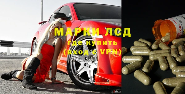apvp Вяземский