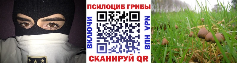Псилоцибиновые грибы мухоморы  Невель 